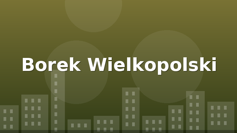 Borek Wielkopolski