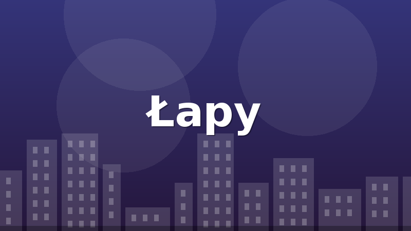 Łapy